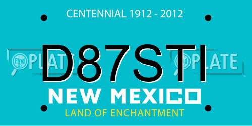 D87STI New Mexico License Plate
