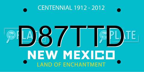 D87TTD New Mexico License Plate