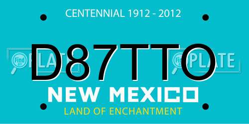 D87TTO New Mexico License Plate
