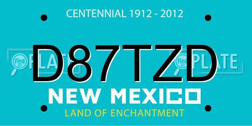 D87TZD New Mexico License Plate