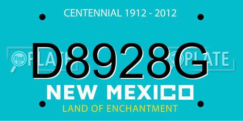 D8928G New Mexico License Plate
