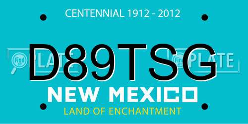 D89TSG New Mexico License Plate