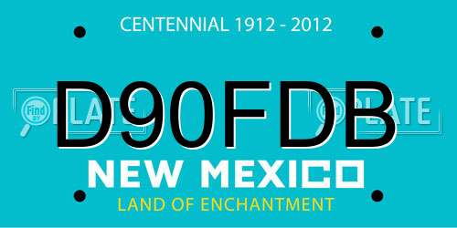 D90FDB New Mexico License Plate