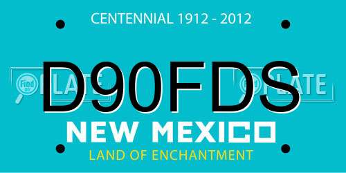 D90FDS New Mexico License Plate
