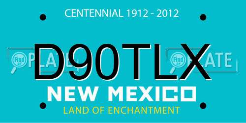 D90TLX New Mexico License Plate