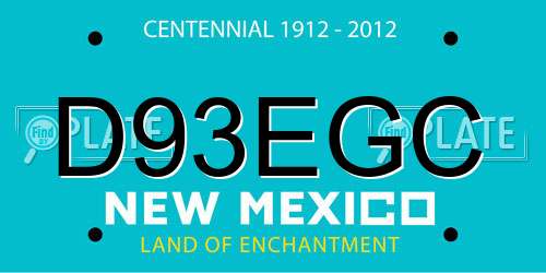 D93EGC New Mexico License Plate
