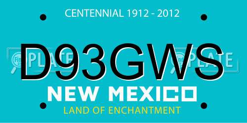 D93GWS New Mexico License Plate