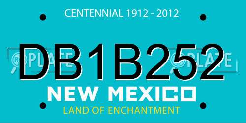 DB1B252 New Mexico License Plate