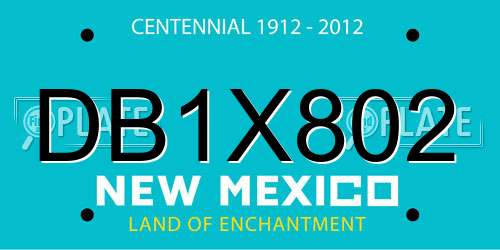 DB1X802 New Mexico License Plate