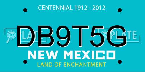 DB9T5G New Mexico License Plate