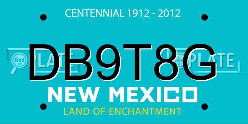 DB9T8G New Mexico License Plate