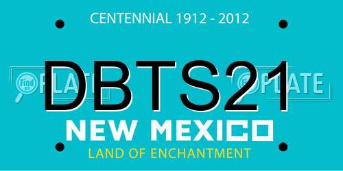 DBTS21 New Mexico License Plate