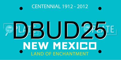 DBUD25 New Mexico License Plate