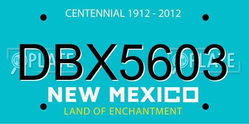DBX5603 New Mexico License Plate