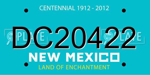 DC20422 New Mexico License Plate