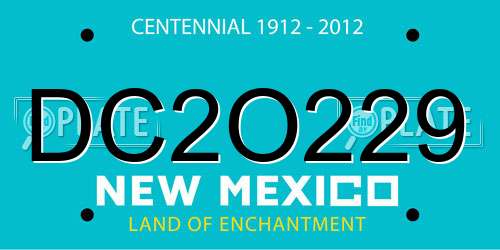 DC2O229 New Mexico License Plate