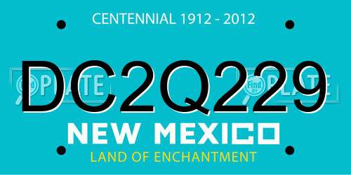 DC2Q229 New Mexico License Plate