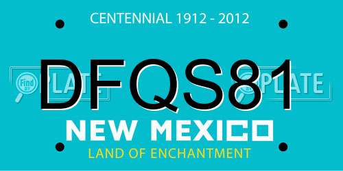 DFQS81 New Mexico License Plate
