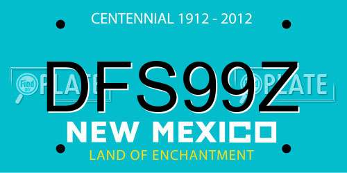 DFS99Z New Mexico License Plate