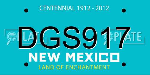 DGS917 New Mexico License Plate