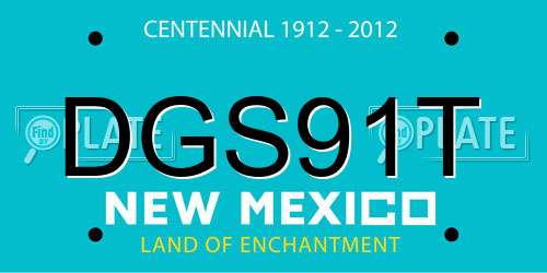 DGS91T New Mexico License Plate