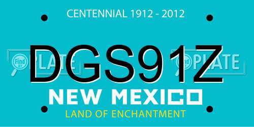 DGS91Z New Mexico License Plate
