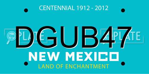 DGUB47 New Mexico License Plate