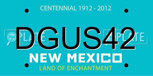 DGUS42 New Mexico License Plate