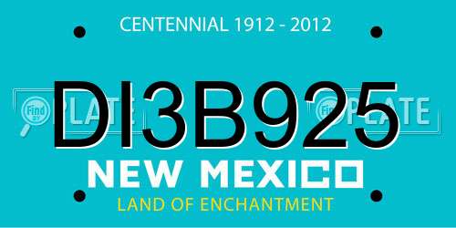 DI3B925 New Mexico License Plate