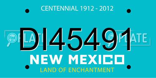DI45491 New Mexico License Plate