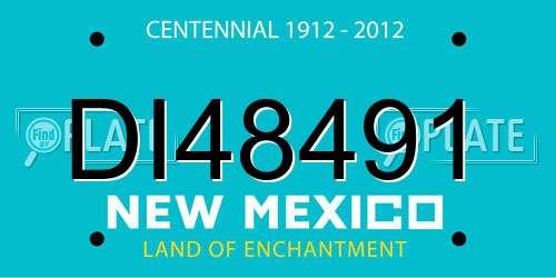 DI48491 New Mexico License Plate