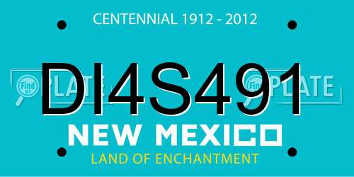 DI4S491 New Mexico License Plate