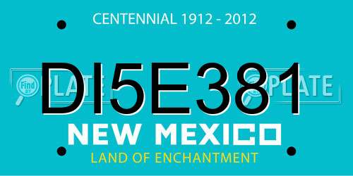 DI5E381 New Mexico License Plate