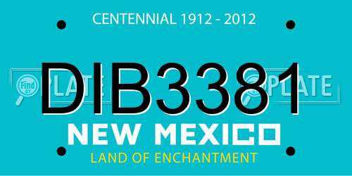 DIB3381 New Mexico License Plate