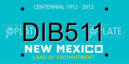 DIB511 New Mexico License Plate