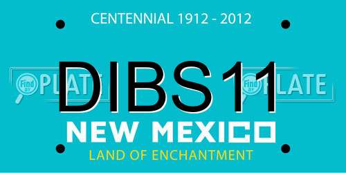 DIBS11 New Mexico License Plate