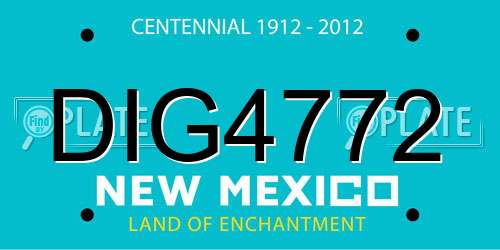 DIG4772 New Mexico License Plate