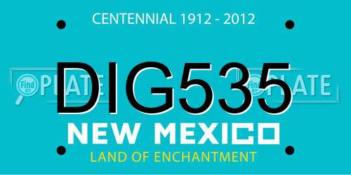 DIG535 New Mexico License Plate