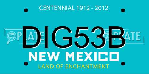 DIG53B New Mexico License Plate