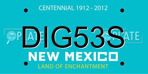DIG53S New Mexico License Plate