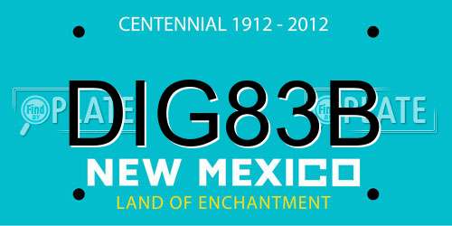 DIG83B New Mexico License Plate