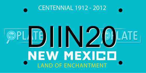 DIIN20 New Mexico License Plate