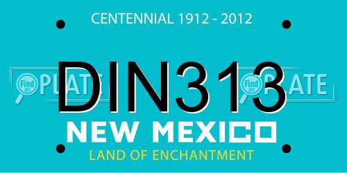 DIN313 New Mexico License Plate