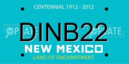 DINB22 New Mexico License Plate