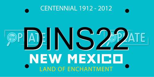 DINS22 New Mexico License Plate