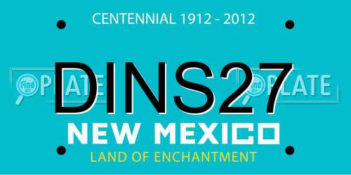 DINS27 New Mexico License Plate