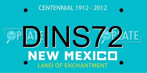 DINS72 New Mexico License Plate