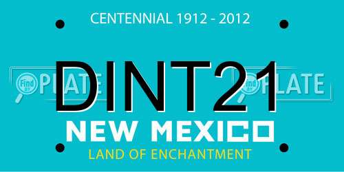 DINT21 New Mexico License Plate