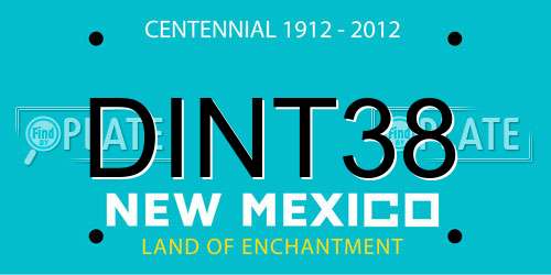 DINT38 New Mexico License Plate