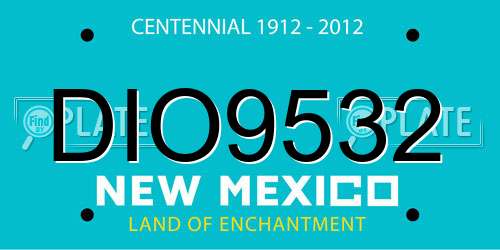 DIO9532 New Mexico License Plate